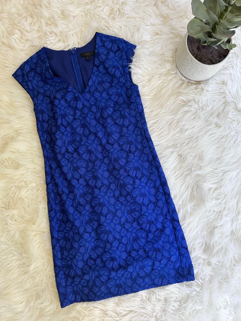 J. Crew Royal Blue Lace Shift Dress